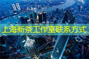 上海娱乐圈华丽派对曝光，这些绯闻人物全部扫黄！